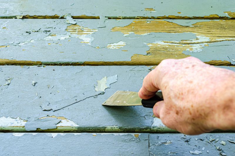 Paint Stripping Service